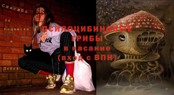 МДПВ Алексин
