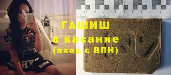 индика Чита